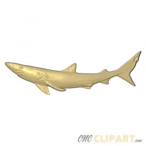 3d relief model of a shark