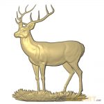 A 3D relief model of an alert Stag on a patch of grass