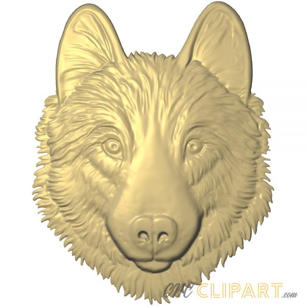 A 3D relief model of a Husky's head.