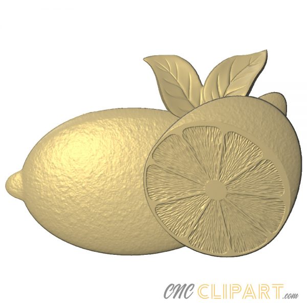 A 3D Relief Model of some Limes