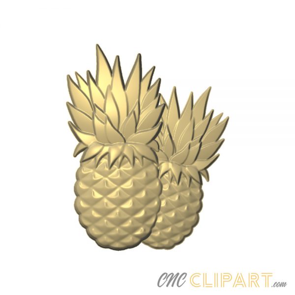 A 3D Relief Model of two Pineapples
