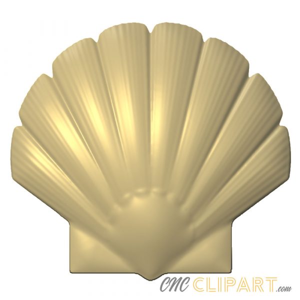 A 3D Relief model of a Shell